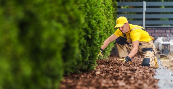 Cypress Mulch Installation
