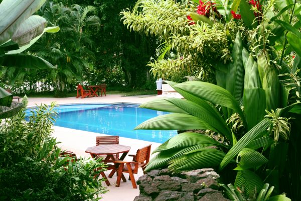 Tropical Garden Landscaping