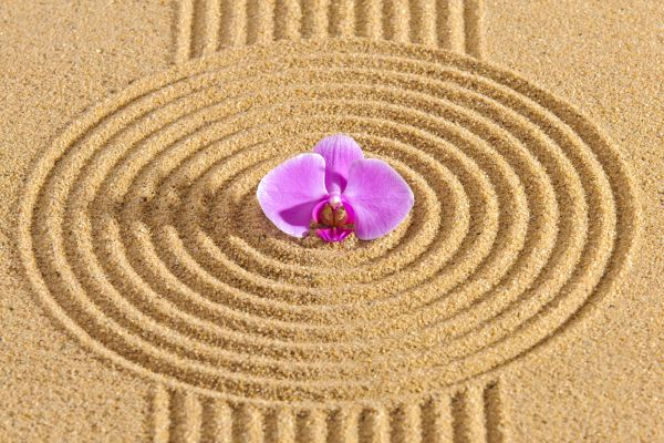 Sand Garden Landscaping