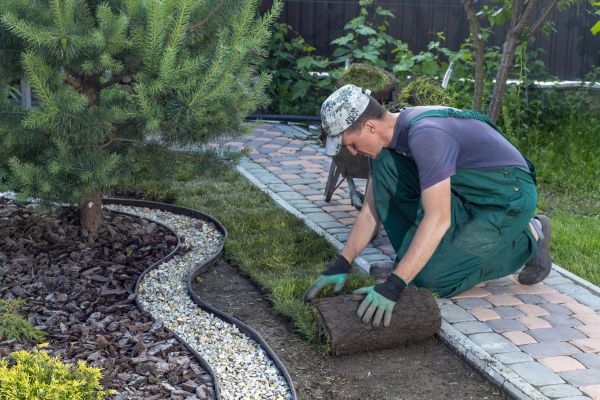 Landscaping Modification
