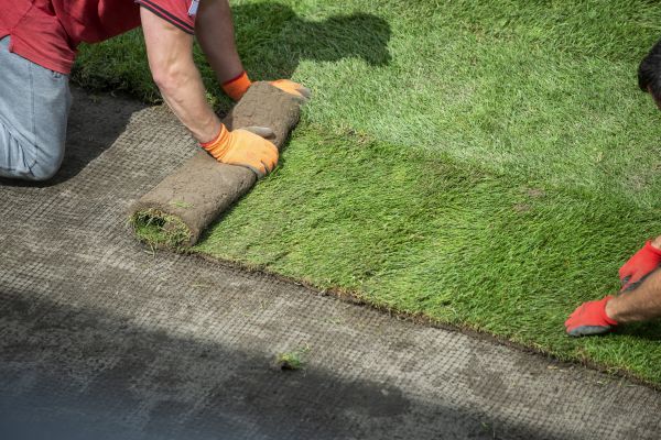 Instant Lawn Installation