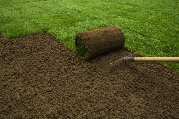 Lawn Turf Laying