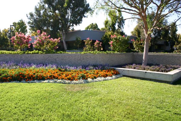 Commercial Landscape Service