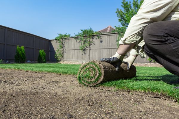 Residential Sod Installation