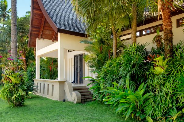 Bahia Grass Planting