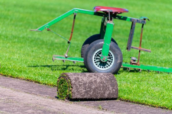 Ryegrass Turf Installation